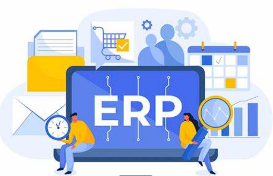 ERP軟件：企業(yè)運(yùn)營的智慧引擎